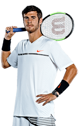 来自欧洲的 来自欧洲的