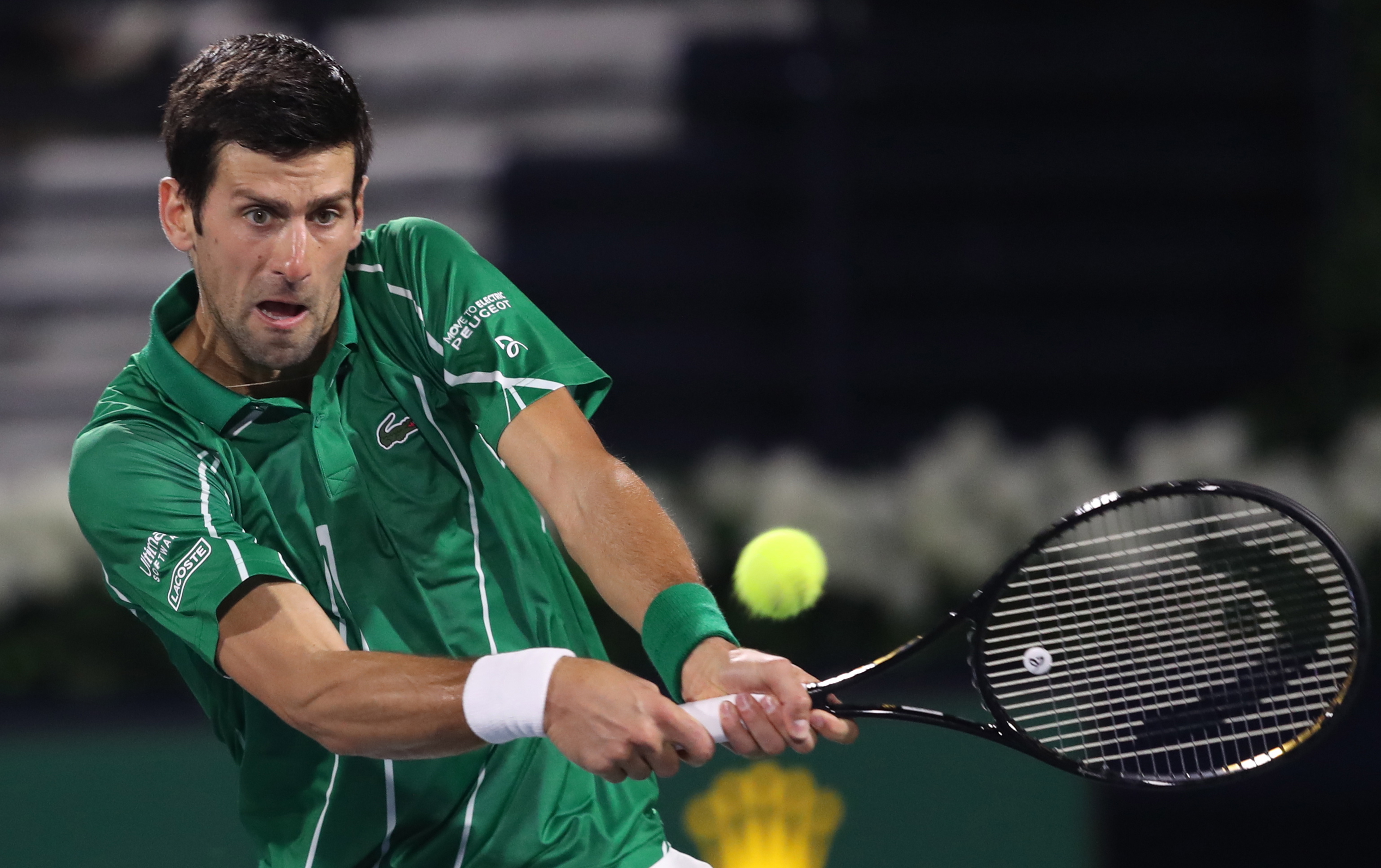 后续展望 后续展望