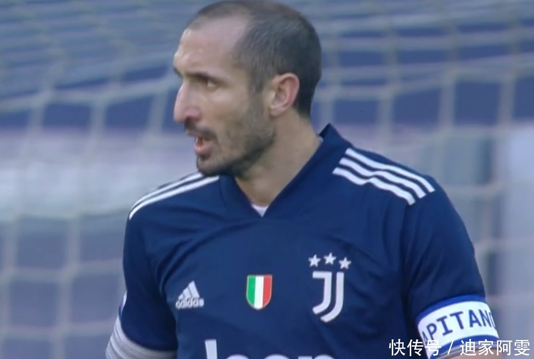 养与阵容的 养与阵容的